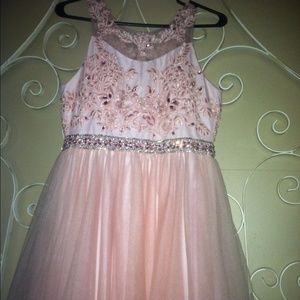 Cinderella Pink Dress